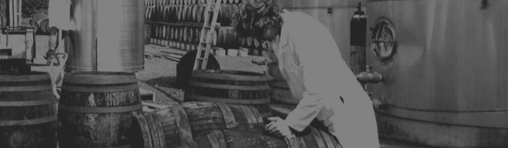 Product Image Pending for Nobilo