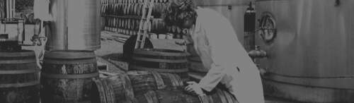 Product Image Pending for Nobilo Product Image Pending for Nobilo