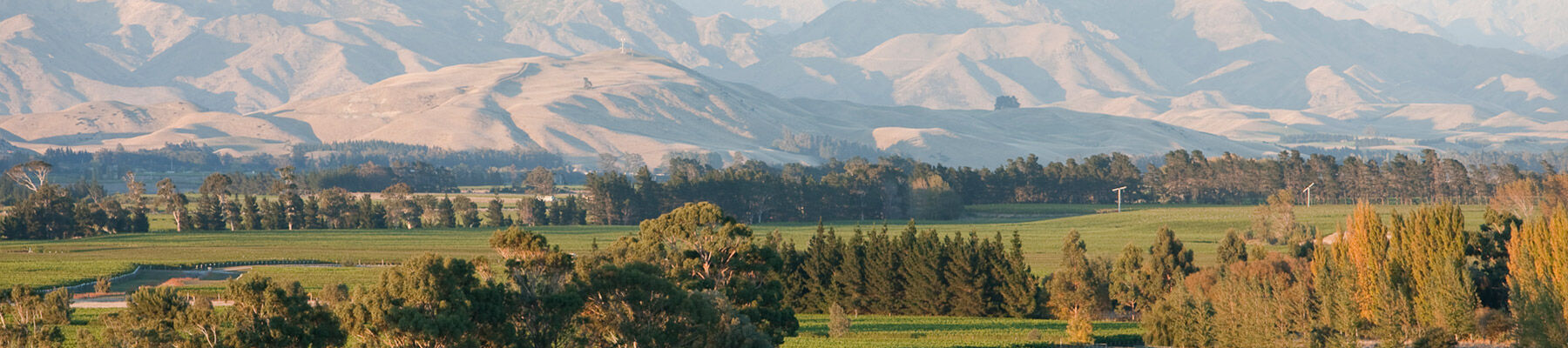 Marlborough